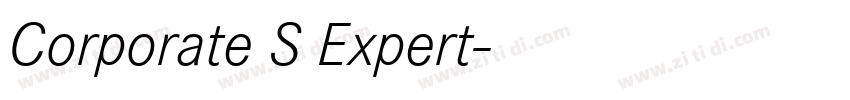 Corporate S Expert字体转换